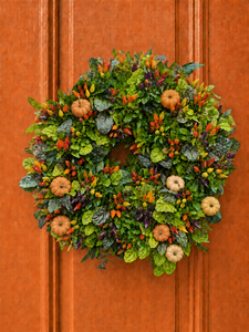 Wed Sep 16 Perennials, Peppers, and Pumpkins Living Wreath 260916101